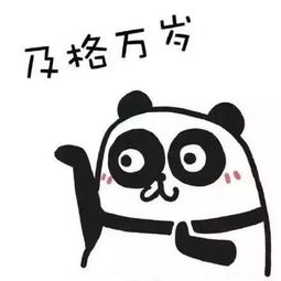  新手爸妈训练营如果生孩子之前需要考证,你能及格吗