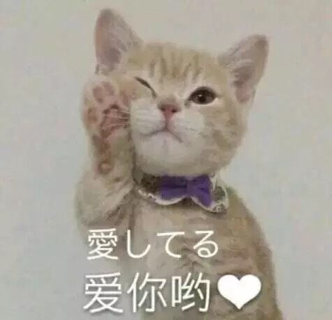 恍惚表情包求你