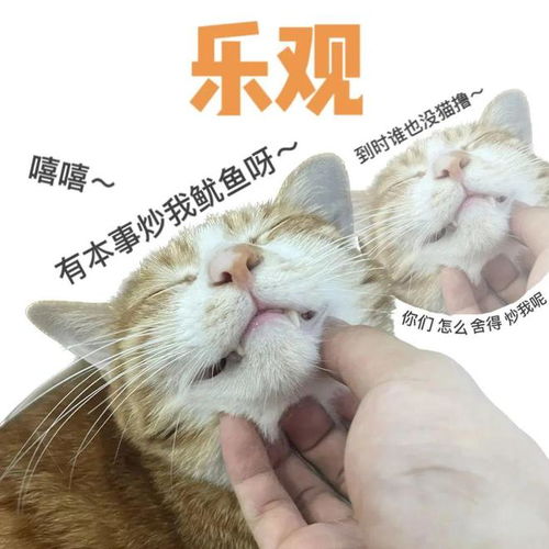  周末福利活捉姜哥