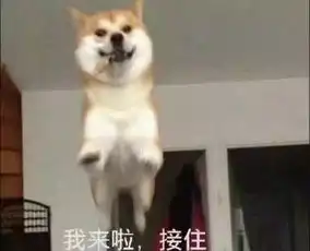  熊猫头表情包算我求你了好不好