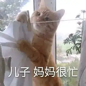  新的求偶步伐来了,再给我来包咪咪