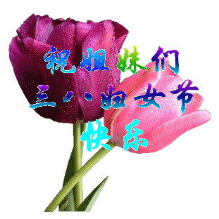  2022温馨的三八女神节祝福文案,妇女节问候语动态表情图片