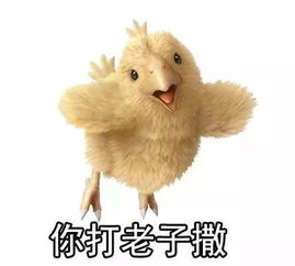  没有这套鸡年专属表情包,合肥人你拿什么跟别人斗图