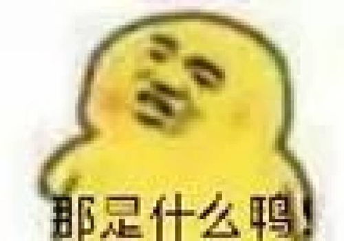 小黄鸭表情包gif图沙雕
