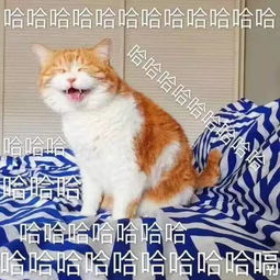  神转折移民缩紧法案被叫停只因工党说
