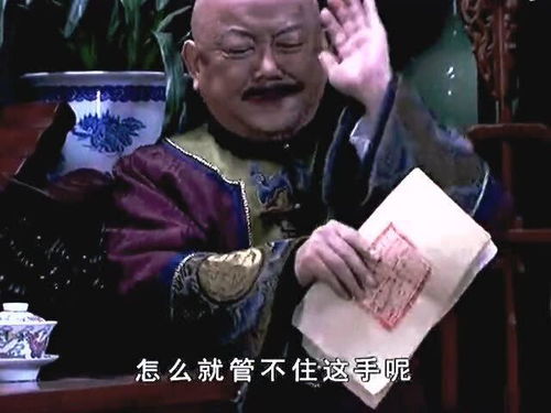 拳击手表情包和珅