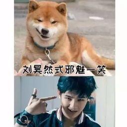  有刘昊然的壁纸或表情包吗