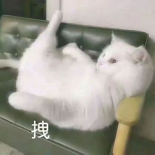  冬天来啦