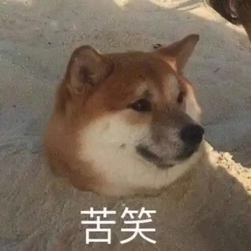 西伯利亚鼯鼠表情包沙雕