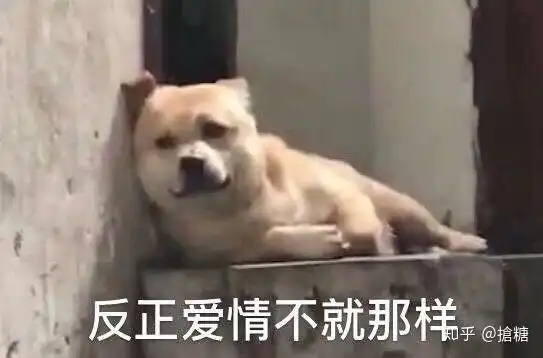  有没有之前不喜欢离开后渐渐喜欢上的言情小说推荐