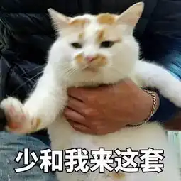  养猫那些事儿网红猫包猫罐头,究竟什么才必要买