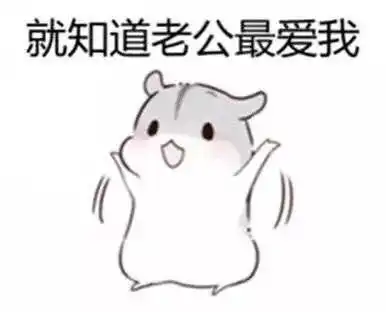  哄老公专用仓鼠表情包