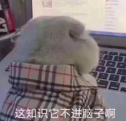  近期留学利好政策最新汇总