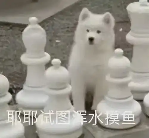  哈尔滨本地人都吃不上的蔓越莓,竟然是女性之友真相揭秘