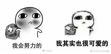  无奈现实的虚拟释放从要饭表情包读小人物的欢喜忧伤