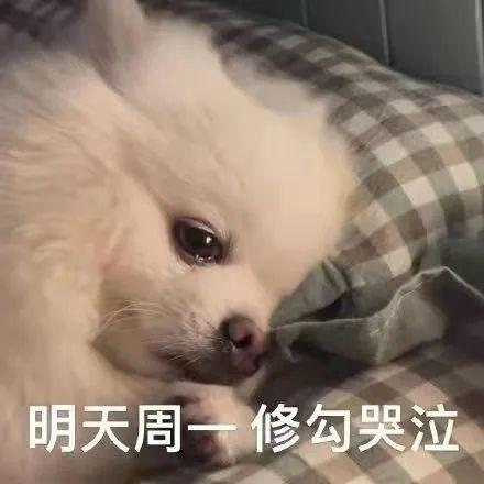  想到周一要上班,焦虑痛苦袭上心头英国人也有周日恐惧症