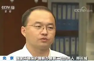  生态环境部通报多起污染事件问责情况加大问责力度党政同责一岗双责
