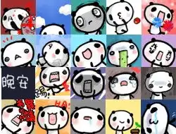  熊猫胖达qq表情包下载熊猫胖达动态表情包下载当易网