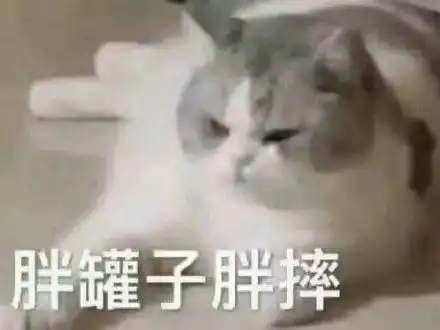  你好骚啊一组gif动图表情包斗图表情