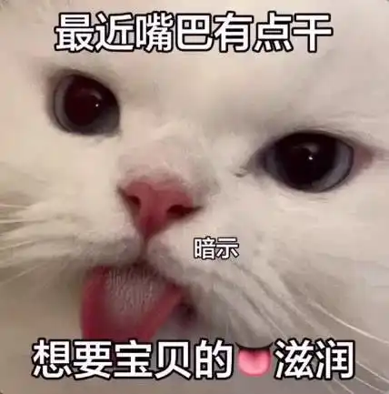 达咩表情包图片猫咪