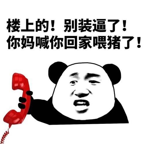  玩网游被人嘲讽怎么办富婆妹妹请打开你的支付宝交流