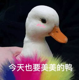  别去纹眉,新手画眉大法快捷又方便