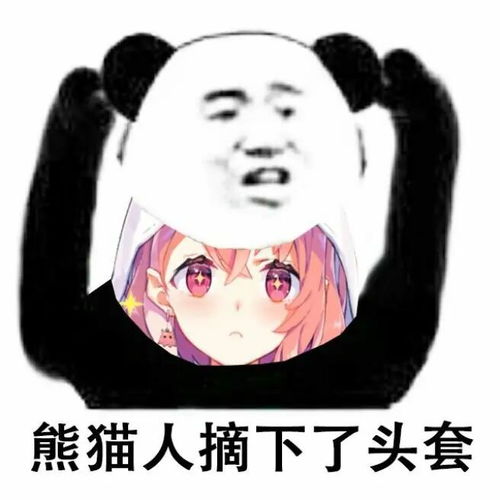  笹木咲熊猫人表情包第三期