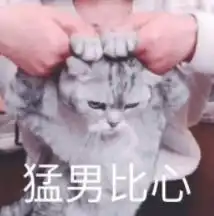  哪里有免费的求职简历模板下载