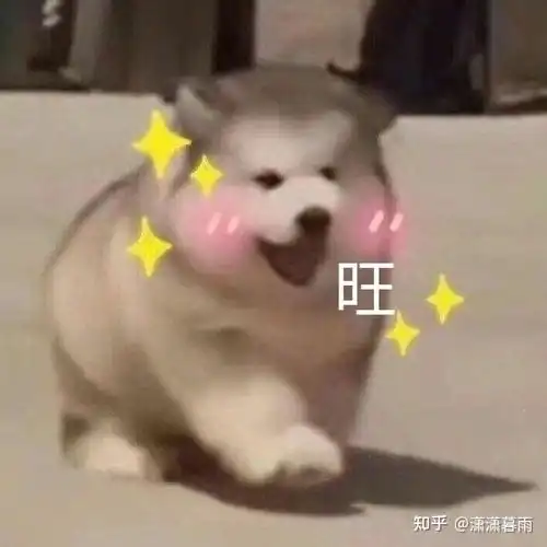  你喜欢发狗头表情的人吗