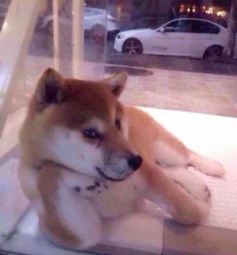 牙疼表情包哈哈哈