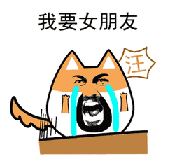  女友是这10个专业的男生最惨你的女友是什么专业的