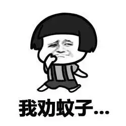  宁南人,蚊子为啥偏爱给你发红包请停止散发你的魅力