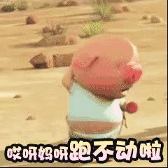  跑猪gif动态图跑猪表情包跑猪gif动图soogif
