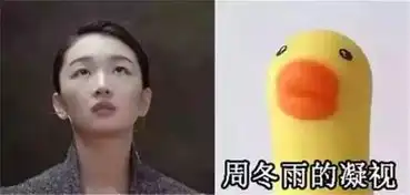 王力宏撞脸高晓松被丑哭这些明星撞脸才堪比撞衫