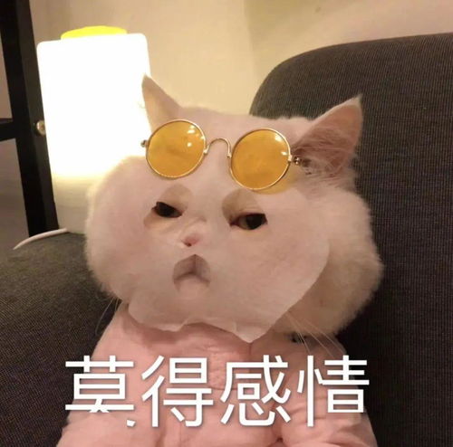  千万别跟南方人买菜,北方人都看哭了
