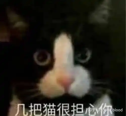 再不睡就天亮了表情包卖
