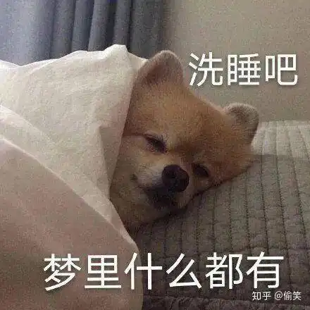 再不睡就天亮了表情包押