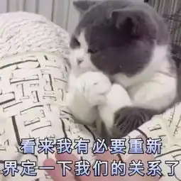  今日份热门沙雕无水印表情包