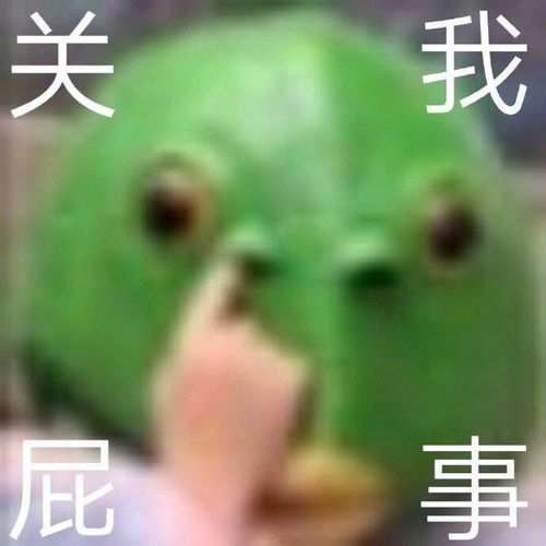 沙雕表情包l秃头竟是我自己