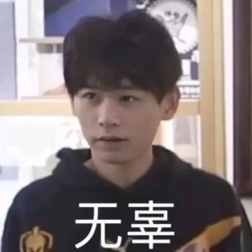  kpl顶流们的表情包无畏九尾钎城葛大爷fly清清