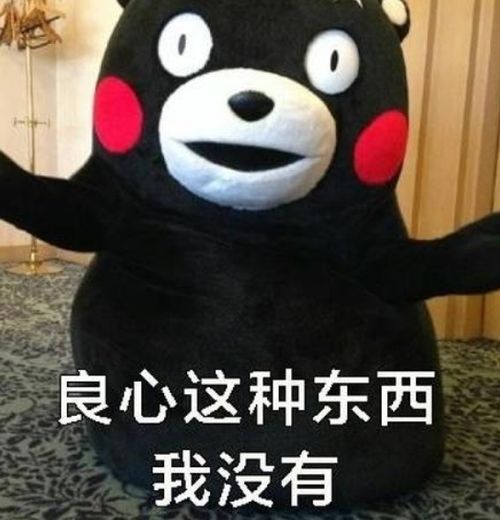  你辛苦帮忙救助的猫,被人9.9元天租出去了