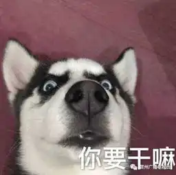  挺住贺州将开启雨雨雨热热热模式