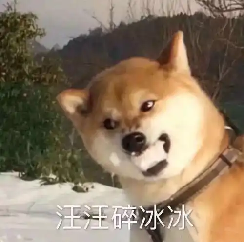 在线表情包沙雕汪汪