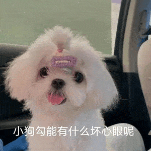  小猫咪能有什么坏心眼呢又不是故意的