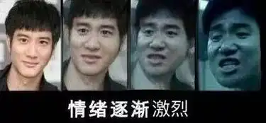 丽丽表情包小伙