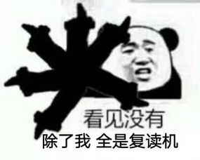 杜嘉班纳推出中国春节产品,庆祝即将到来的猪年