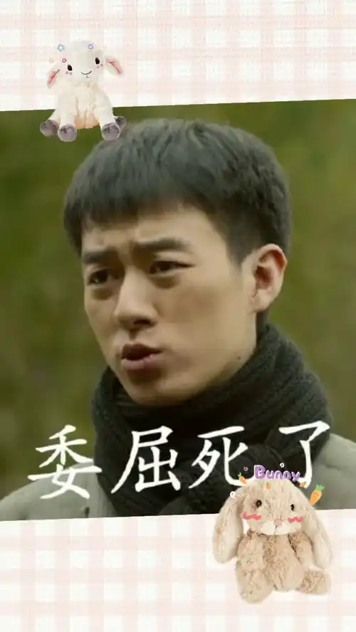  觉醒年代新鲜出炉的表情包