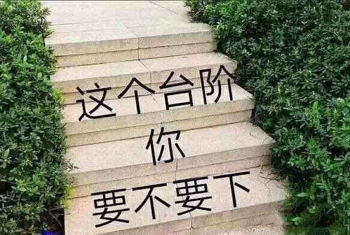  给你个台阶你下不下