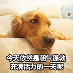  流量的歌没人听问题不就是因为要花钱买专辑吗