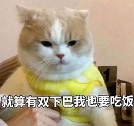  减肥党追剧党必备好吃还不怕胖的小零食
